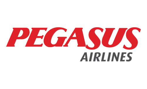 PEGASUS-01